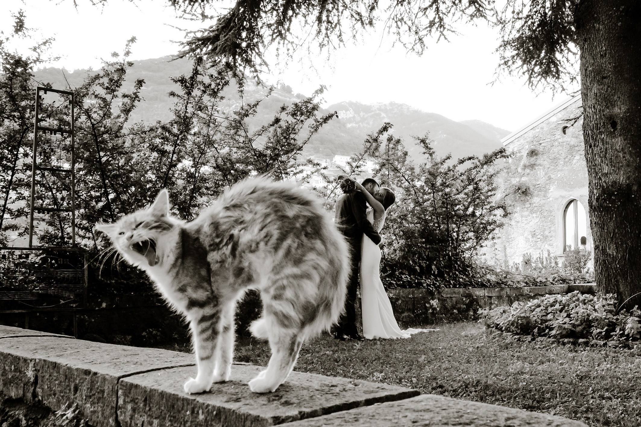 MATRIMONI